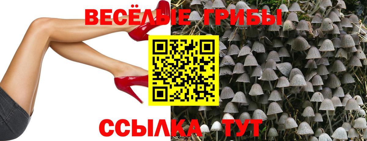 Псилоцибиновые грибы ЛСД  Вход с VPN  дарнет шоп  Красноармейск  Псилоцибиновые грибы мухоморы 